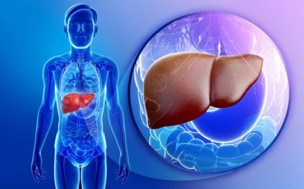  کبد  چرب چیست و چگونه می توان از آن پیشگیری کرد؟