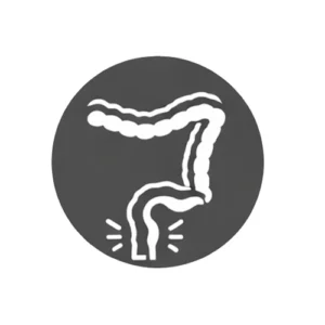 آنال فیشر