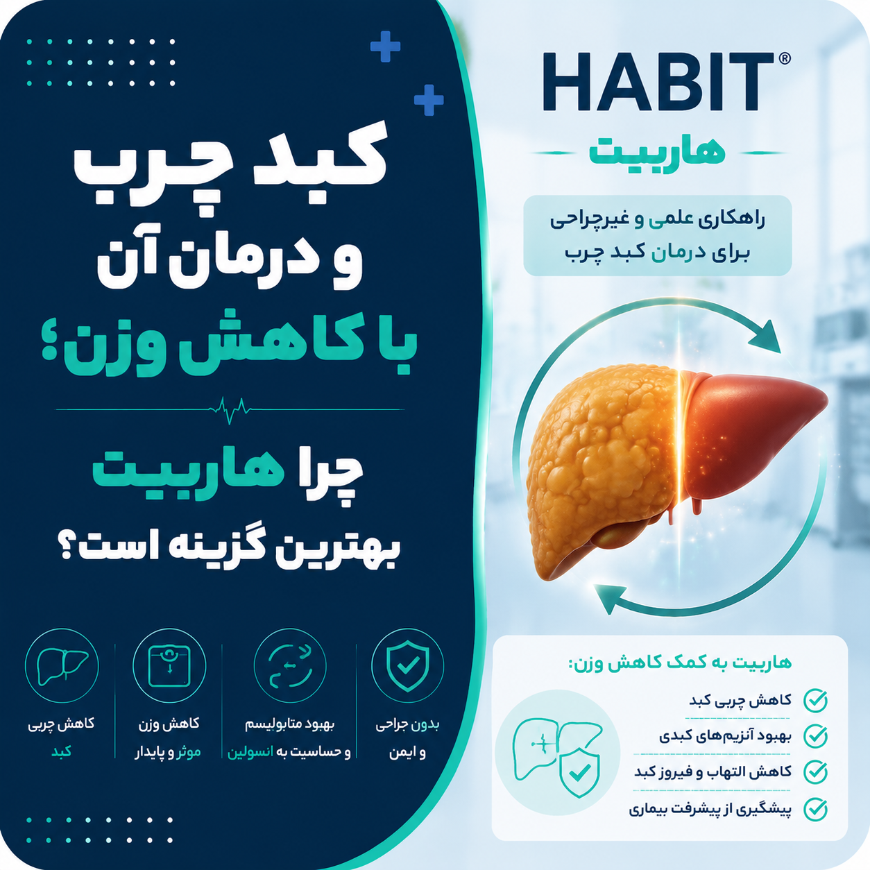 کبد چرب و درمان آن با کاهش وزن؛ چرا هاربیت بهترین گزینه است؟