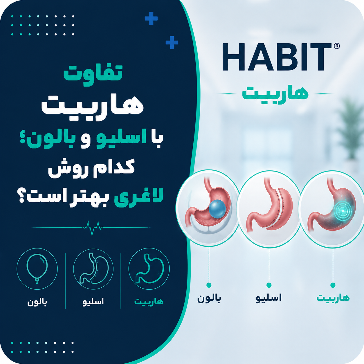 تفاوت هاربیت با اسلیو و بالون؛ کدام روش لاغری بهتر است؟