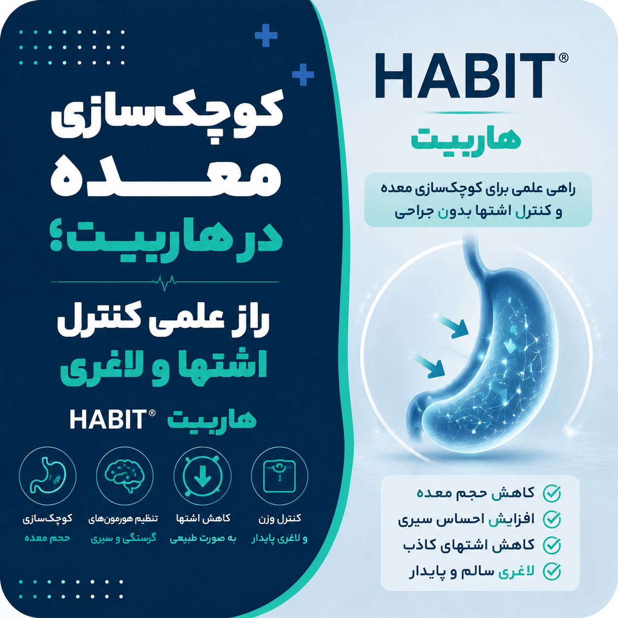 کوچک‌سازی معده در هاربیت؛ راز علمی کنترل اشتها و لاغری