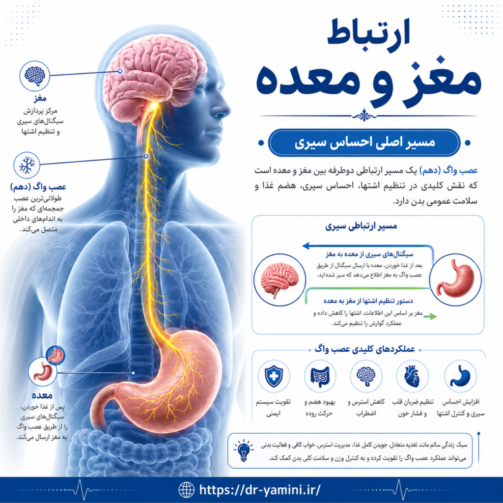 کوچک‌سازی معده در هاربیت