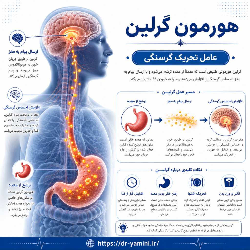 وچک سازی معده در هاربیت 
