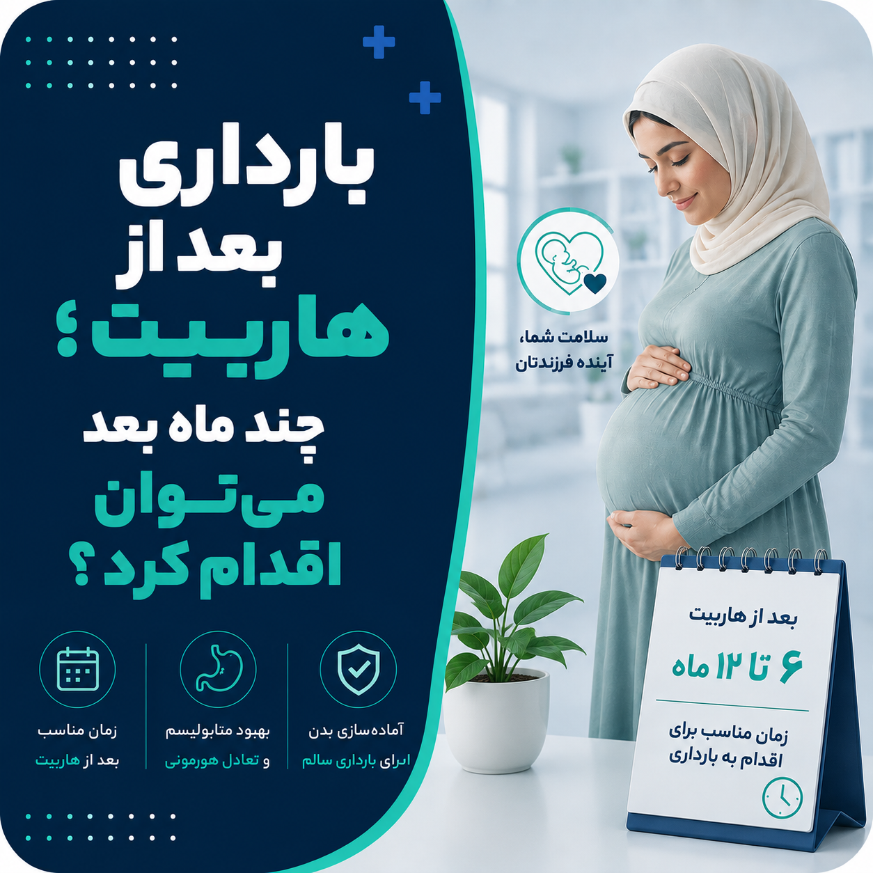 بارداری بعد از هاربیت؛ چند ماه بعد می‌توان اقدام کرد؟