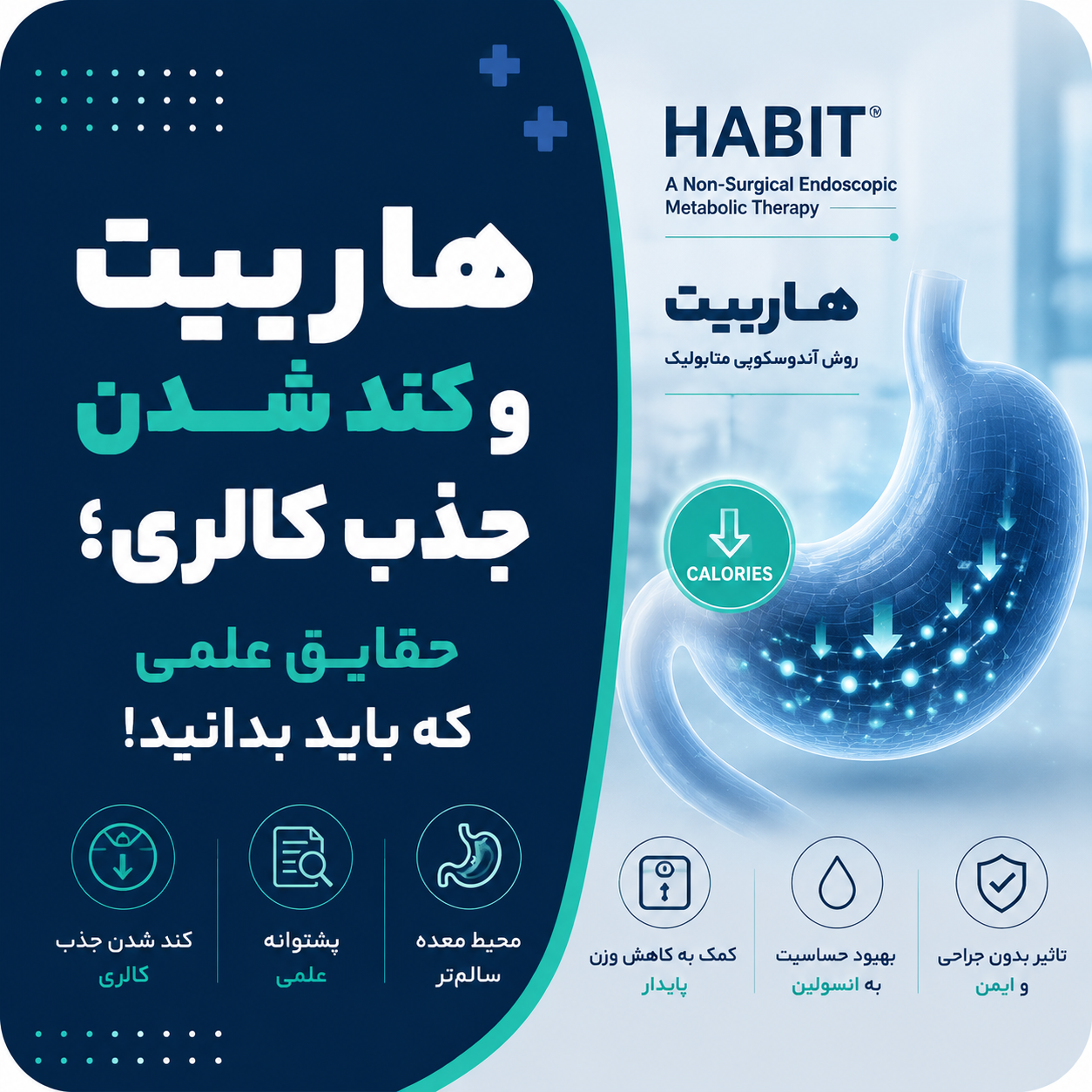 هاربیت و کند شدن جذب کالری؛ حقایق علمی که باید بدانید!