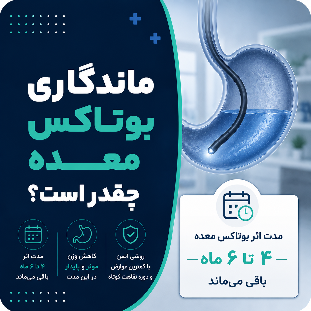 ماندگاری بوتاکس معده چقدر است؟