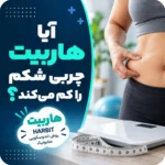 آیا هاربیت چربی شکم را کم می‌کند؟