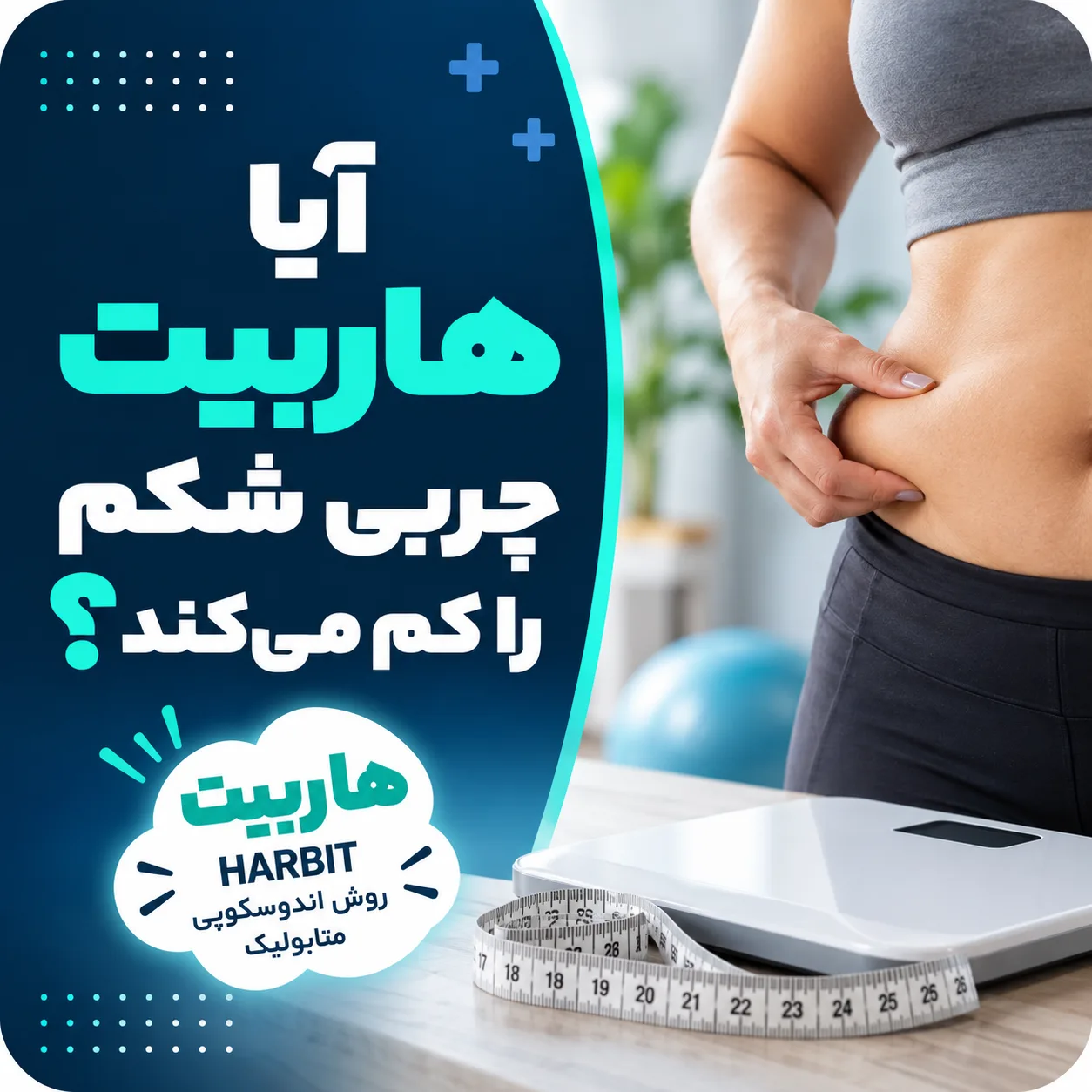 آیا هاربیت چربی شکم را کم می‌کند؟