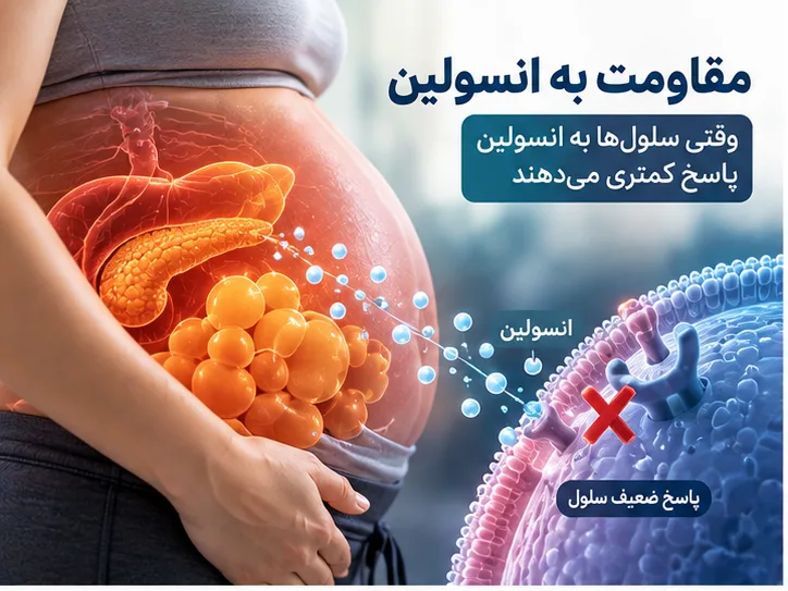 آیا هاربیت برای مقاومت به انسولین مناسب است؟